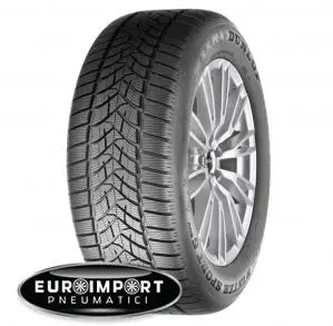 Dunlop Winter Sport 5 SUV 245/45 R20 103 V XL  TL BORDINO